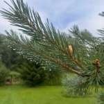 Татьяна, фото