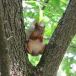 Эдуард, фото