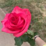 Айсун, фото