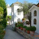 Алексей, фото