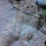 Ирина Владимировна, фото