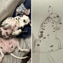 Нарисую вашего питомца, в Москве