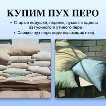 Купим пух перо перины подушки, в Казани