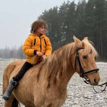 Лошадь на продажу, в Москве