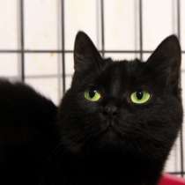 Загадочная Джина ждёт своего человека, в Москве