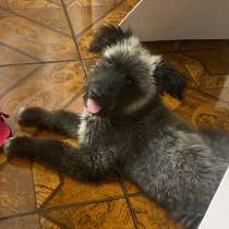 Красивая, умная, добрая, в Рязани