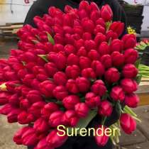 Тюльпаны оптом, в Москве