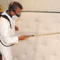 Тараканы, клопы и прочая нечисть-выведем Звоните, в Москве