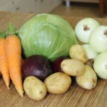 Картофель,лук,капуста,морковь(оптом,розн, в Тольятти