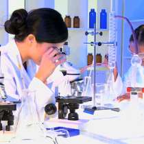 Помощь органам инспекции и ИЛ - аккредитация, ПК, в Томске