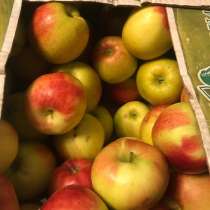 Яблоки, в Смоленске