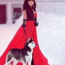 Щеночки Хаски черно-белые, голубоглазые и разноглазые, в Санкт-Петербурге