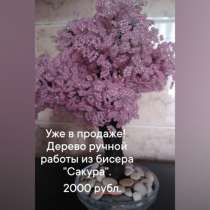 Продаеться дерево сакура, в Ростове-на-Дону