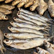 Вяленая рыба вобла, красноперка, щука, судак и др, в Москве