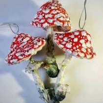 Сушёные грибы Елочная игрушка, в Санкт-Петербурге