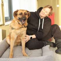 Благодарный добряк пёс Родман в приюте, в Москве