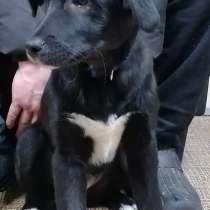 Малышей выбросили в лесу, в Москве