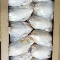 Продам кур несушек, в Омске