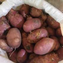 Продам картофель новый урожай, в Нижнем Новгороде
