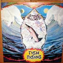 Steve Hillage - Fish Rising (UK), в Санкт-Петербурге