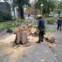 Корчевание пней. обрезка деревьев, сада, спил дерева Одесса, в г.Одесса
