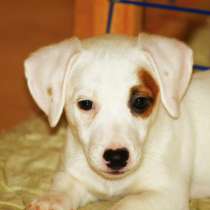 Джеки, в Москве