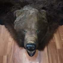 Шкура медведя, в Красноярске