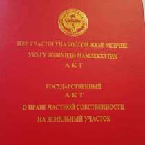 Ак-Ордо 4 соток (красная книга), в г.Бишкек