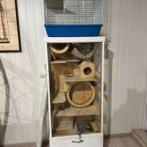 Витрина для шиншиллы, в Звенигороде