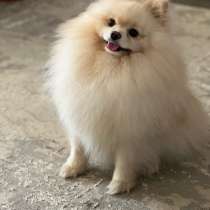 Вязка, в Октябрьском