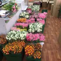 Тюльпаны оптом к 8 Марта не дорого в Смоленске, в Москве