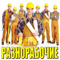Услуги разнорабочих и подсобных рабочих, в Калининграде