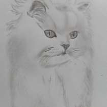 Рисунок пушистого кота, в Энгельсе