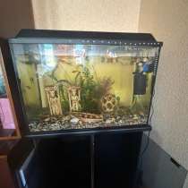 Аквариум с тумбой 120литров, в Саратове