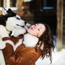 Щеночки сибирской хаски. черно-белые голубоглазые потрясающи, в Санкт-Петербурге