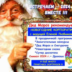 Новогодние корпоративы! Ведущая Снегурочка, Дед Мороз, DJ !, в Новосибирске