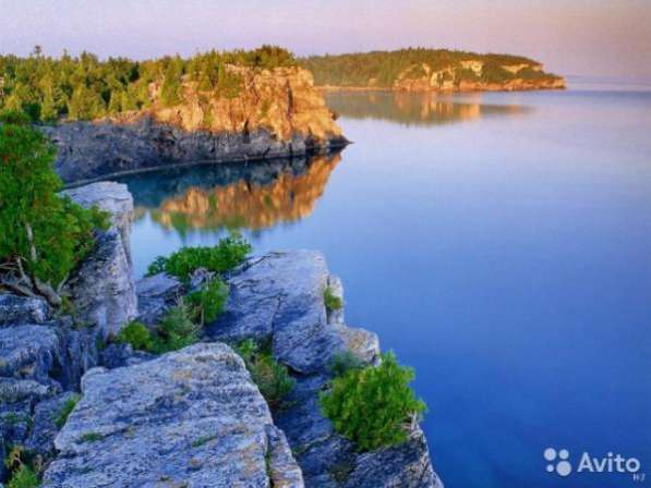 Байкал Великий в Перми фото 3