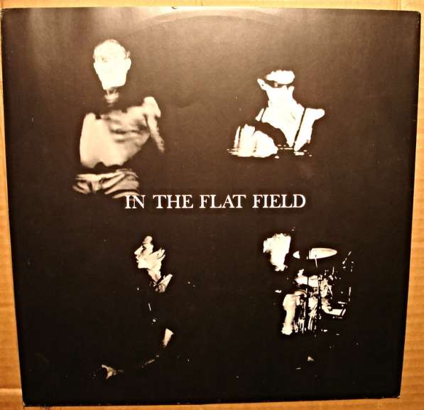 Пластинка виниловая Bauhaus - In The Flat Field(UK) в Санкт-Петербурге