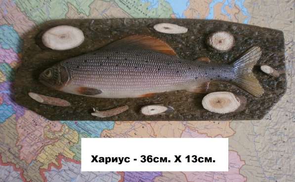 Сувенир для рыбака и охотника в Новосибирске фото 17