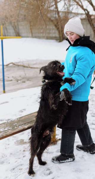 Самый дружелюбный пес на свете (метис ризеншнауцера) Барон в Москве фото 6