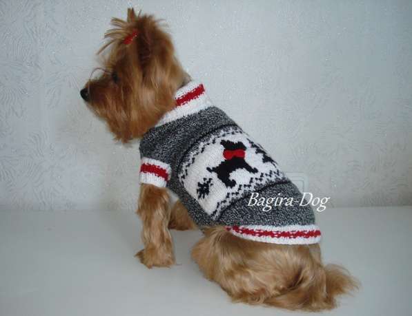 Свитера для собак ручной работы в Москве фото 41