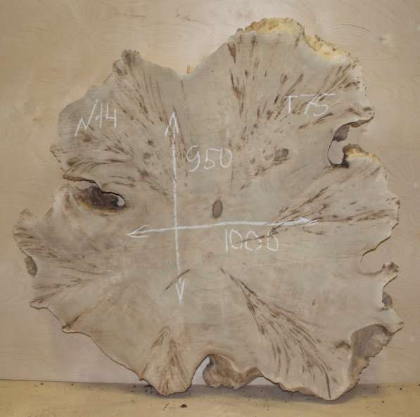 Продам слэбы поперечного капового тополя, Вл 8-10% в Москве фото 4