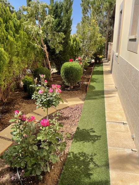 Апартаменты с садом на Кипре в фото 12
