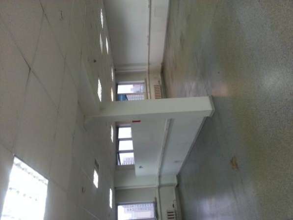 Сдается офис 915.4 кв.м в Москве фото 3