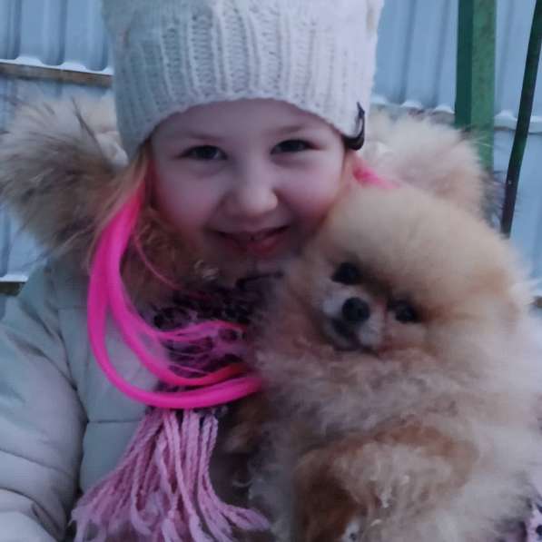 Щенки померанского шпица мальчики и девочки в фото 13