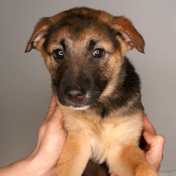 Маленькая Динка ищет семью в Москве фото 17