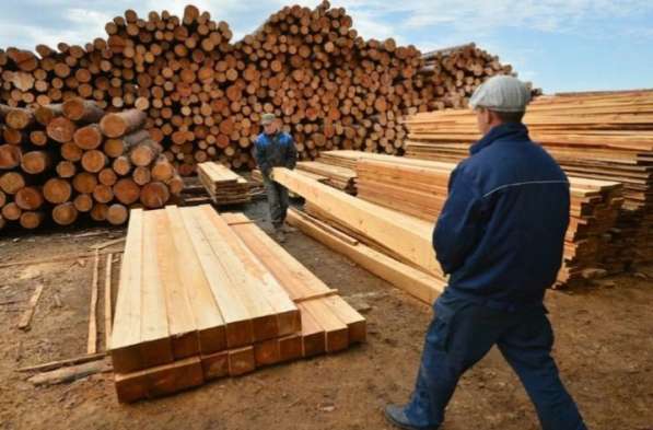 Работники в сады с проживанием