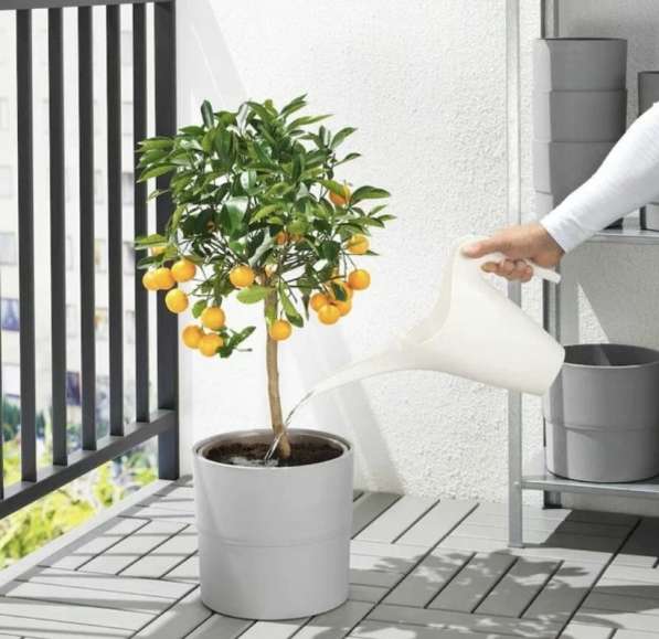 Лейка для цветов IKEA