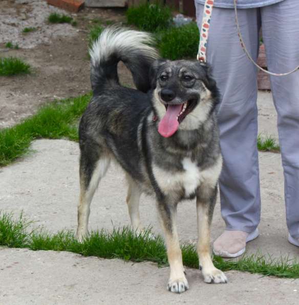 Ласковая, жизнерадостная позитивная Златочка ждет свою семью в Москве фото 5