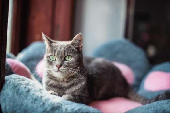 Нежная и ласковая Зоя ищет свою семью в Москве фото 3